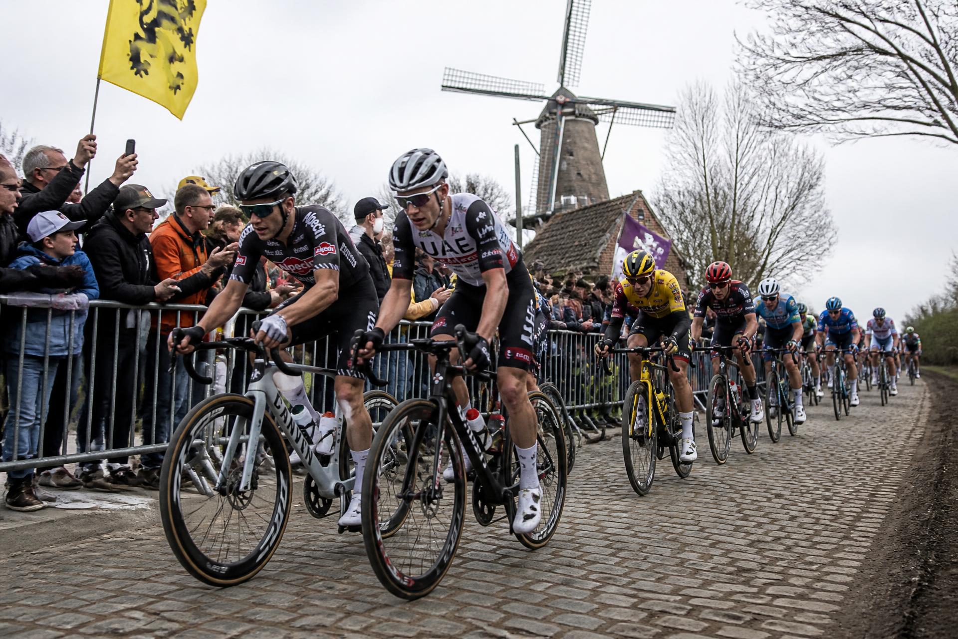 Peloton op de kasseien tijdens een Vlaamse wielerwedstrijd
